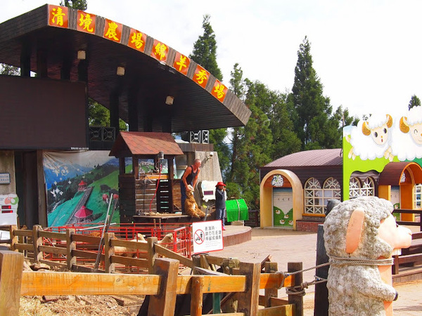 好雞婆土雞城：【食記】【景點】南投好雞婆土雞城&聚彩園休閒山莊@仁愛清境農場 : 與鳳凰共眠~清境山城兩天一夜小旅行! 擺夷料理好吃耶^^