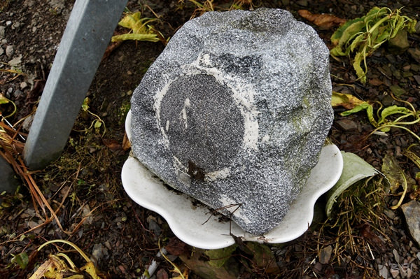 【南投清境美食】博望新村的好雞婆土雞城∞包廂叫雞別想歪