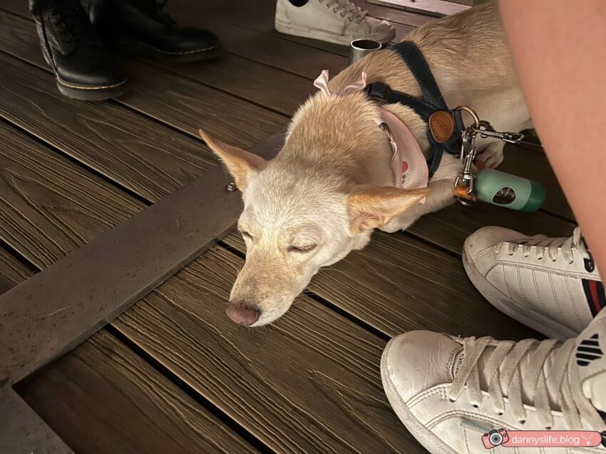 同時享受美食、美酒與美景!陽明山必訪餐廳,一覽無遺的台北夜景,超適合打卡拍照!丹尼的吃喝玩樂 dannyslife.blog