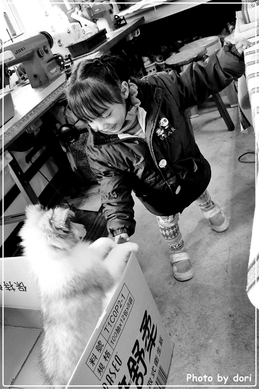 〈台灣東部〉花蓮光復、壽豐鄉。我的咖啡館+雲山水