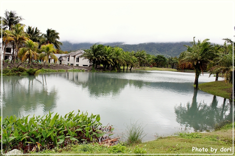 〈台灣東部〉花蓮光復、壽豐鄉。我的咖啡館+雲山水