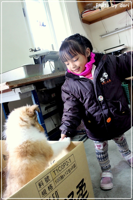 〈台灣東部〉花蓮光復、壽豐鄉。我的咖啡館+雲山水