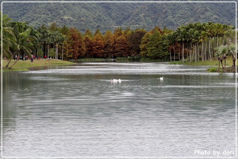 〈台灣東部〉花蓮光復、壽豐鄉。我的咖啡館+雲山水