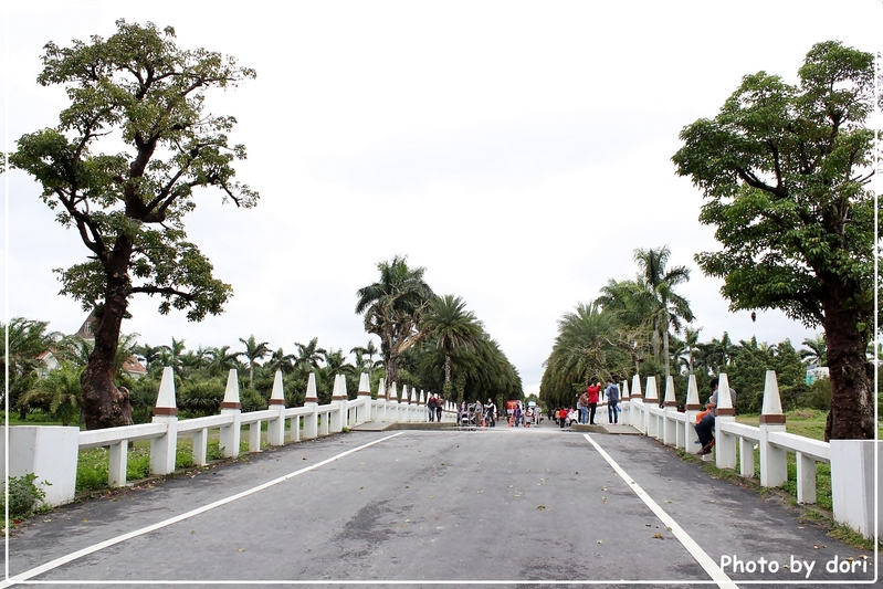 〈台灣東部〉花蓮光復、壽豐鄉。我的咖啡館+雲山水