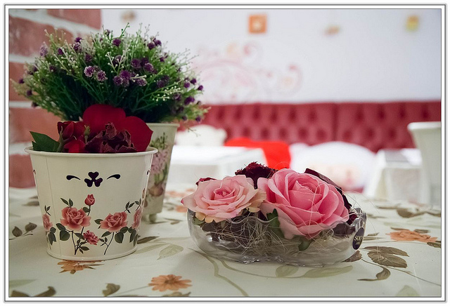 ╠食記╣情人節系列:鄉村風/聚餐/約會/下午茶的好選擇-LadyEmma艾瑪花園