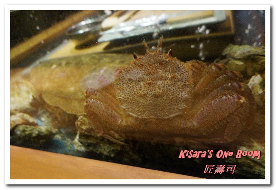 匠壽司:松江南京無菜單.日式精緻料理永遠的確幸、新鮮高檔食材的學習寶庫──匠壽司