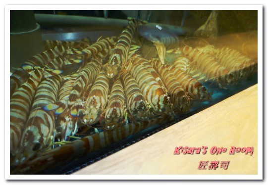 匠壽司:松江南京無菜單.日式精緻料理永遠的確幸、新鮮高檔食材的學習寶庫──匠壽司