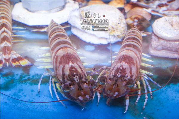 匠壽司日式無菜單料理│北捷/松江南京站(用心料理、值得推薦，商務午膳$800元)