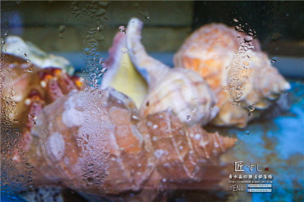 匠壽司日式無菜單料理│北捷/松江南京站(用心料理、值得推薦，商務午膳$800元)