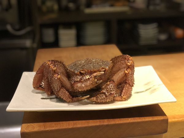 FullSizeRender 23.JPG