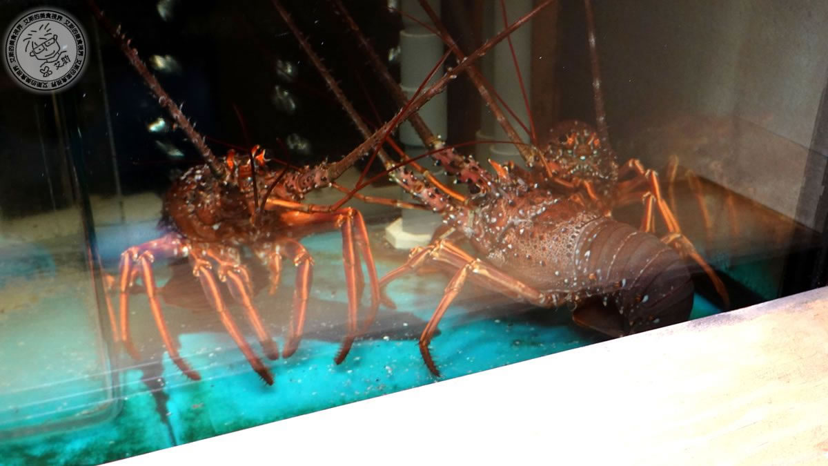 建國北路上的隱藏日本料理，匠壽司17年Omakase老店，師傅手藝超越日本！