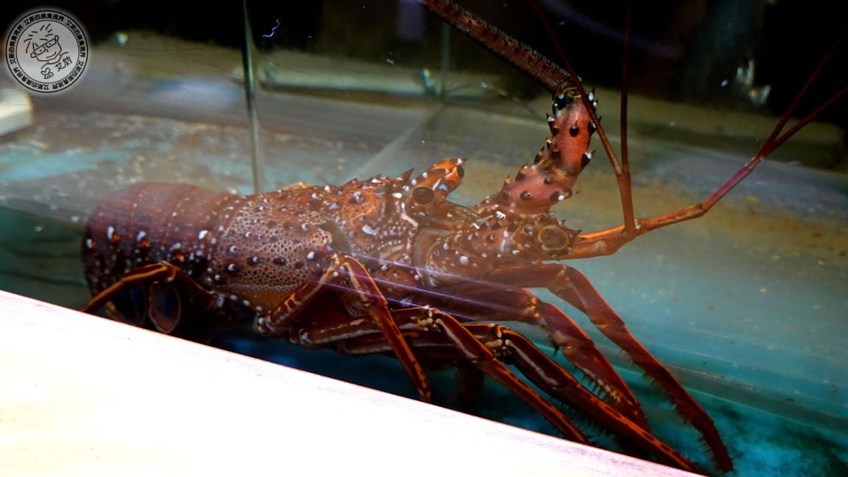 建國北路上的隱藏日本料理，匠壽司17年Omakase老店，師傅手藝超越日本！