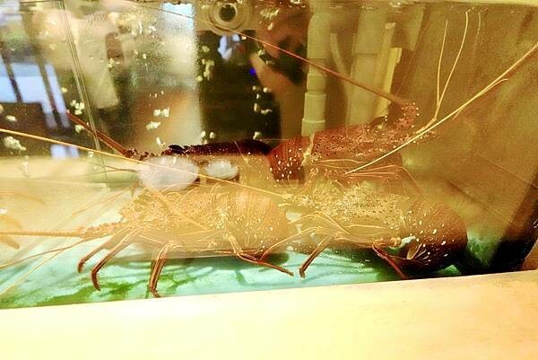 DSC02063.jpg 匠壽司-台北頂級無菜單料理