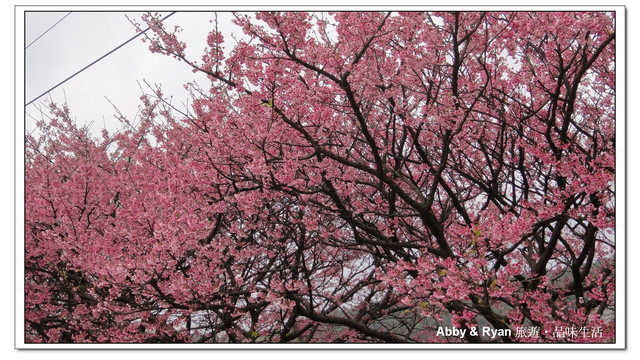 【台北美食．內湖】Aqua Kiss水吻2-Sufer ~ 捷運西湖站美食/內湖義大利餐廳冰品/內湖美食．來自南台灣的熱情餐廳~偶像劇拍攝地．更是媒體爭相報導的店家哦！