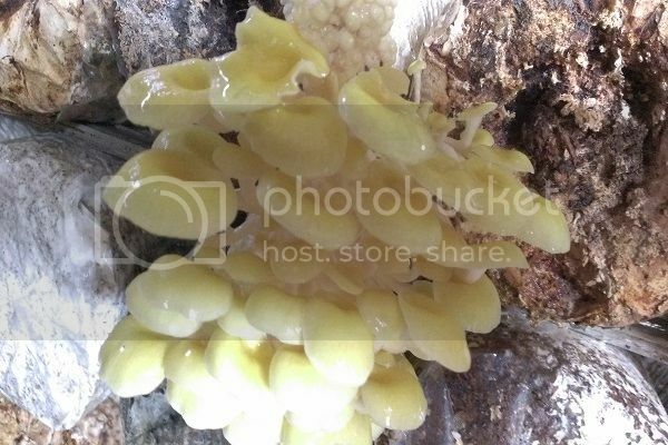 早安,發現中台灣小鄉鎮魅力