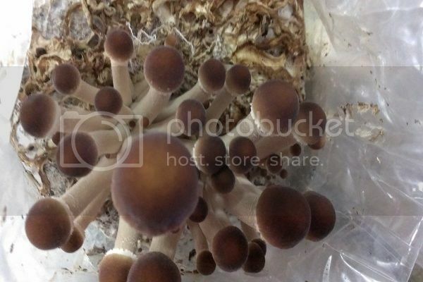 早安,發現中台灣小鄉鎮魅力