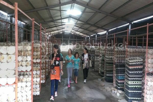 早安,發現中台灣小鄉鎮魅力