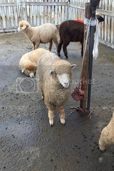 早安,發現中台灣小鄉鎮魅力