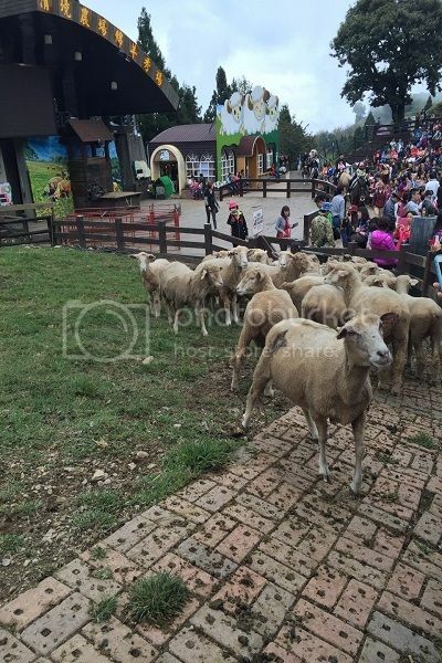 早安,發現中台灣小鄉鎮魅力