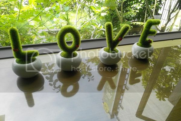 早安,發現中台灣小鄉鎮魅力