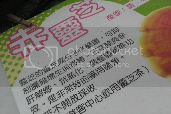 早安,發現中台灣小鄉鎮魅力