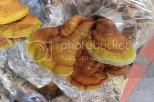 早安,發現中台灣小鄉鎮魅力