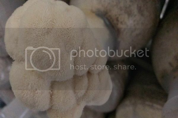 早安,發現中台灣小鄉鎮魅力