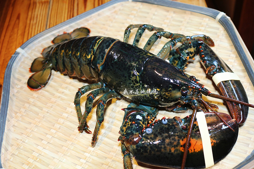 微風建一食堂 遼寧夜市日本料理,南京復興美食,南京復興居酒屋,南京復興無菜單料理,南京復興海鮮,南京復興巷弄美食,南京復興日本料理,南京復興居酒屋