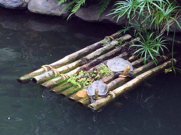 IMG_20160829_150141_081