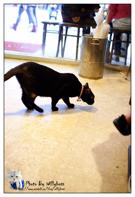 二訪維多利亞茶餐廳(台北萬華)