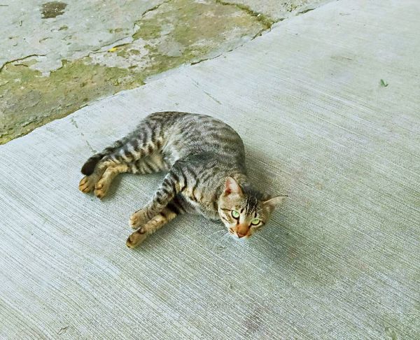 麻豆代天府兒2.jpg 麻豆代天府兒2.jpg