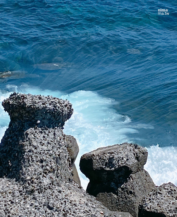 小琉球浮潛聖地「花瓶岩」吃古早味爆漿黑糖包看海龜 - 婗媽。甜栗子的品味生活/美妝保養