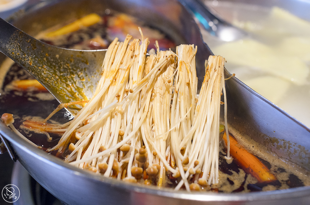 IMGP3895.jpg IMGP3895.jpg