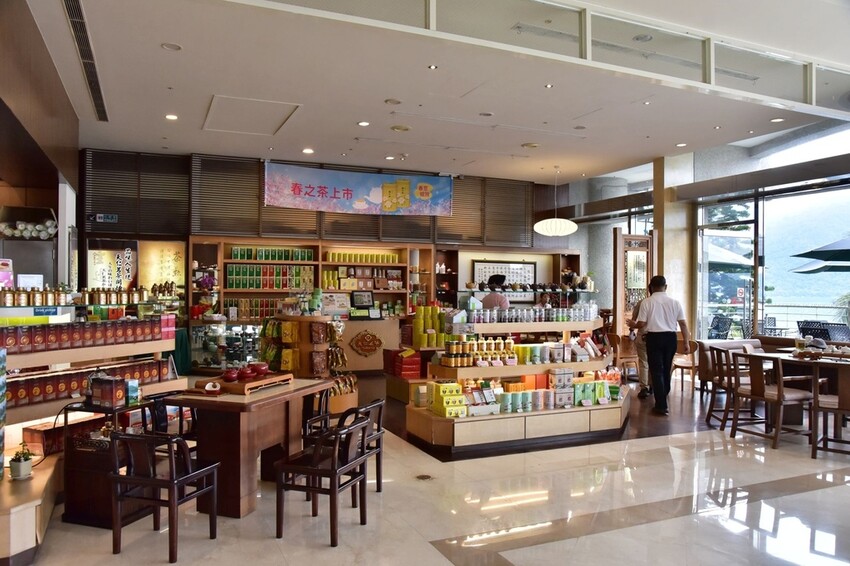 日月潭旅宿推薦|日月潭大淶閣-Hotel DEL LAGO