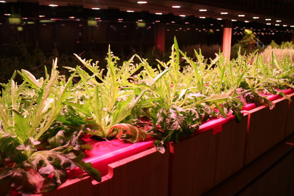 果然匯：【台北美食】素食吃到飽，果然匯蔬食宴@忠孝敦化站