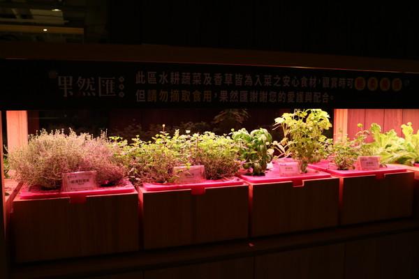 果然匯：【台北美食】素食吃到飽，果然匯蔬食宴@忠孝敦化站