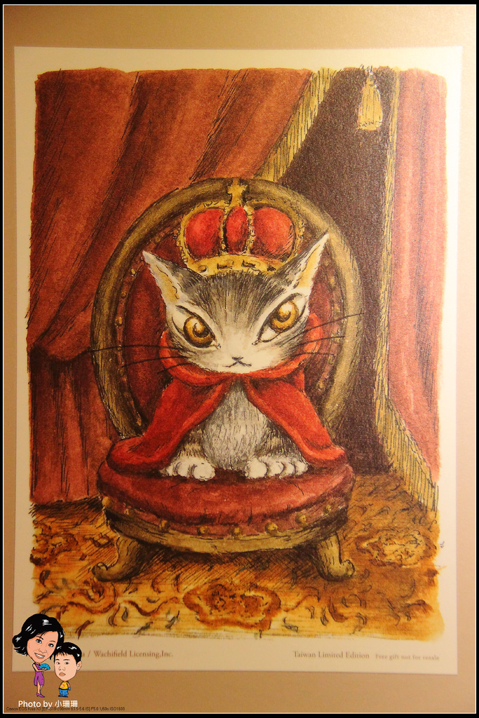 DPP_16_nEO_IMG DPP_16_nEO_IMG