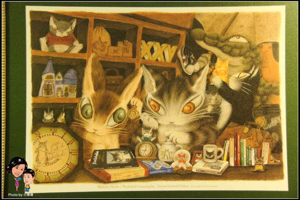 DPP_12_nEO_IMG DPP_12_nEO_IMG