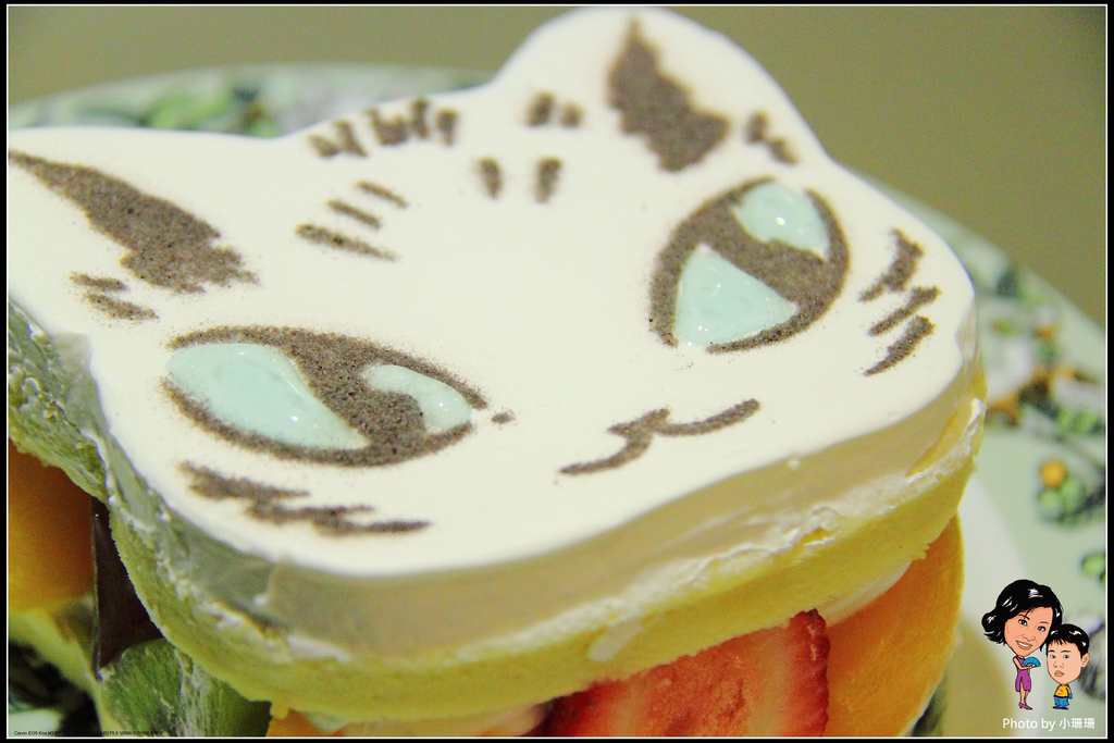 DPP_41_nEO_IMG DPP_41_nEO_IMG