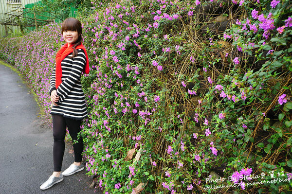 【宜蘭-員山】烤雞搭上地瓜蹦出新滋味@蘭陽老媽媽豆腐乳烤香雞全餐★宜蘭/宜蘭美食/員山鄉美食/烤雞/桶仔雞/望龍埤/員山景點