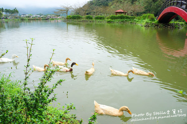 【宜蘭-員山】烤雞搭上地瓜蹦出新滋味@蘭陽老媽媽豆腐乳烤香雞全餐★宜蘭/宜蘭美食/員山鄉美食/烤雞/桶仔雞/望龍埤/員山景點