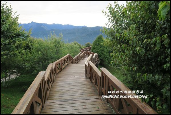 阿里山67.JPG