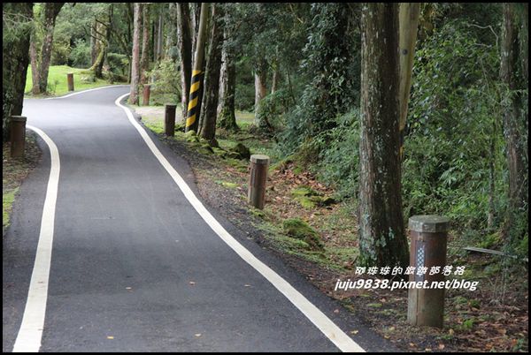 阿里山31JPG.JPG