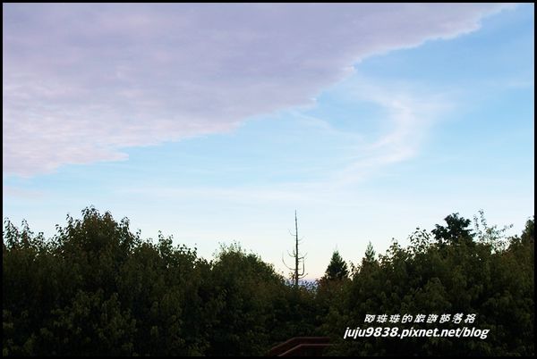 阿里山24.JPG