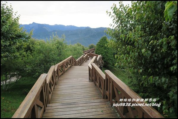 阿里山131.JPG