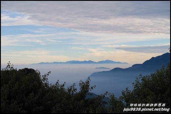 阿里山130.JPG