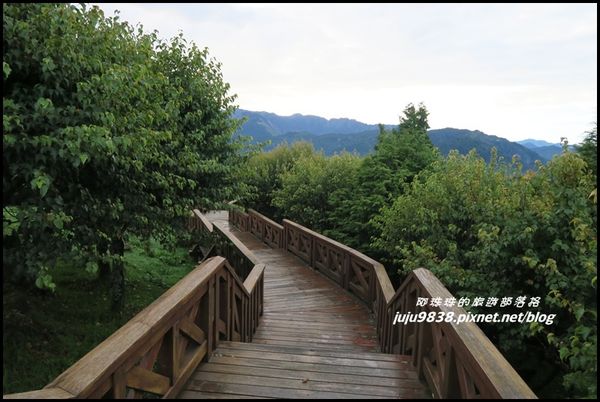 阿里山66.JPG
