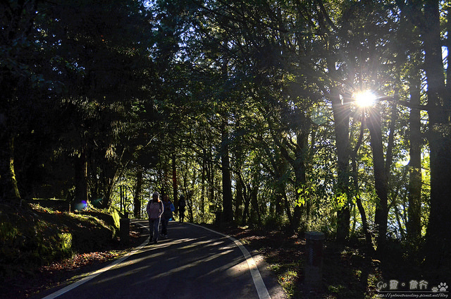 nEO_IMG_DSC_22060 nEO_IMG_DSC_22060