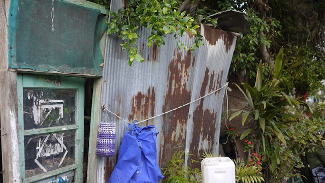 【金門旅遊景點】小徑樹屋與蛋狗