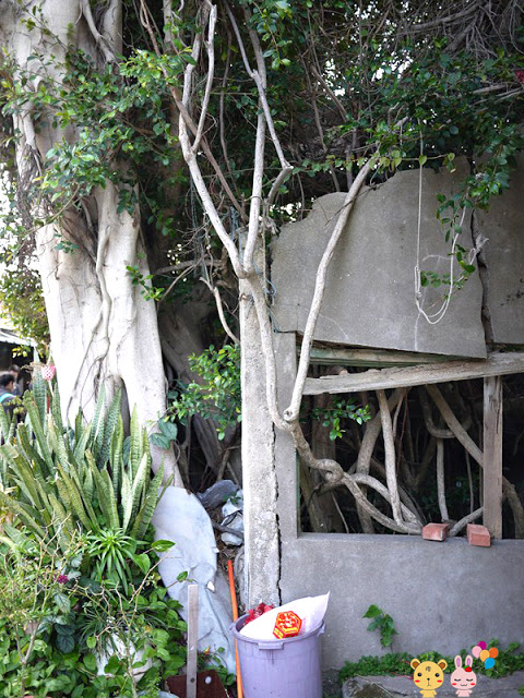 【金門旅遊景點】小徑樹屋與蛋狗